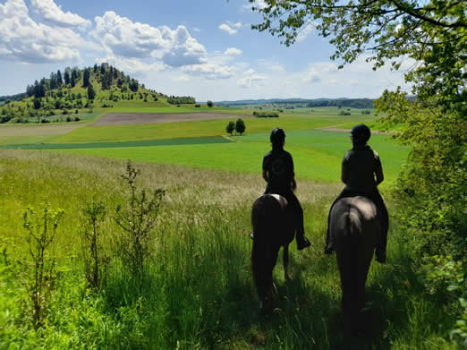 Wanderritt